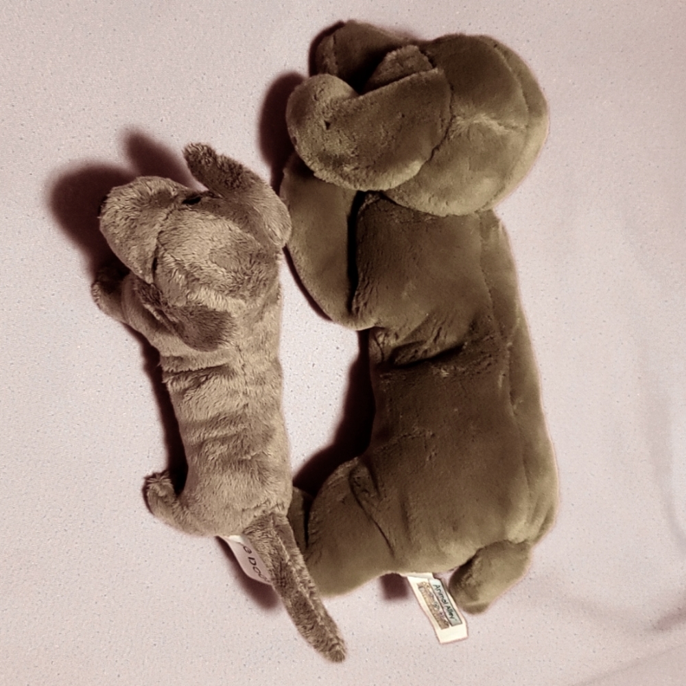Plush Dachshunds